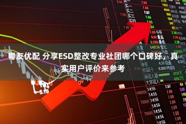粤友优配 分享ESD整改专业社团哪个口碑好，真实用户评价来参考